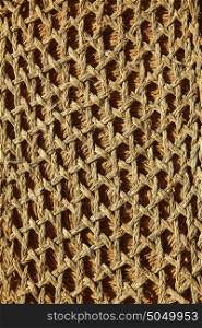 Esparto halfah grass used for crafts as cords basketry and espadrilles