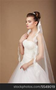 Espousal. Profile of Elegant Stylish Bride with Veil