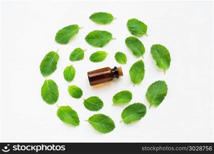 Essentail oil with fresh mint leaves.. Essentail oil with fresh mint leaves on white background.