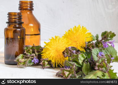 Essential aromatic oil with dandelion flowers on wooden background. Flower essential oil. Phytotherapy.. Essential aromatic oil with dandelion flowers on wooden background. Flower essential oil.