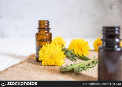 Essential aromatic oil with dandelion flowers on wooden background. Flower essential oil. Phytotherapy.. Essential aromatic oil with dandelion flowers on wooden background. Flower essential oil.