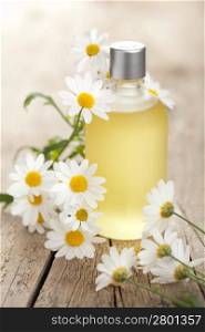 essential oil and camomile flowers