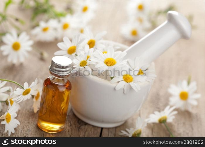 essential oil and camomile flowers in mortar