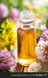 essential oil and medical flowers herbs