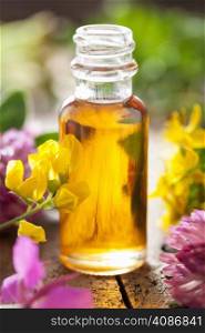 essential oil and medical flowers herbs