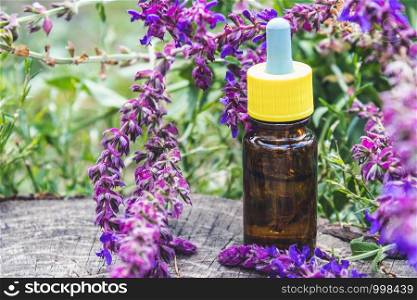 Essential oil in a glass bottle and fresh lavender flowers on a background of nature. Tincture or essential oil with lavender. Spa herbal medicine.. Essential oil in a glass bottle and fresh lavender flowers on a background of nature. Tincture or essential oil with lavender. herbal medicine.