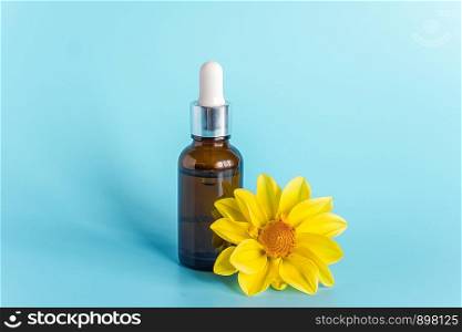 Essential oil in brown dropper bottle and yellow flower on blue background. Concept natural organic beauty cosmetics product.. Essential oil in brown dropper bottle and yellow flower on blue background. Concept natural organic beauty cosmetics product