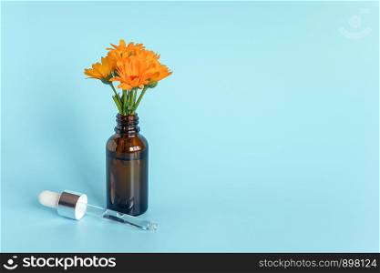 Essential oil in open brown dropper bottle with lying glass pipette and orange flower calendula on blue background. Concept natural organic beauty cosmetics product.. Essential oil in open brown dropper bottle with lying glass pipette and orange flower calendula on blue background. Concept natural organic beauty cosmetics product