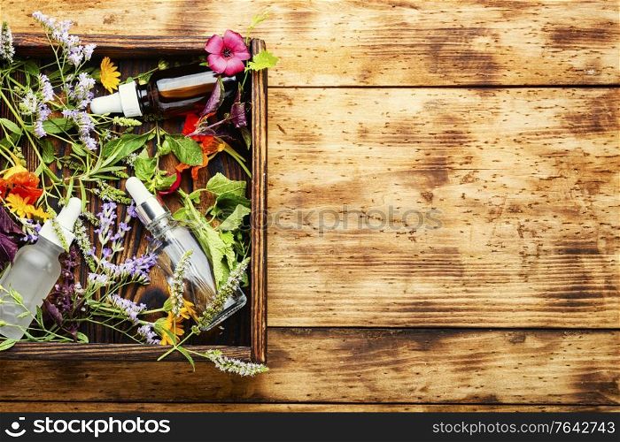 Essential oil with fresh herbs and flowers.Natural herbal medicine.Aroma essential oil. Essential oils with herbs and flowers