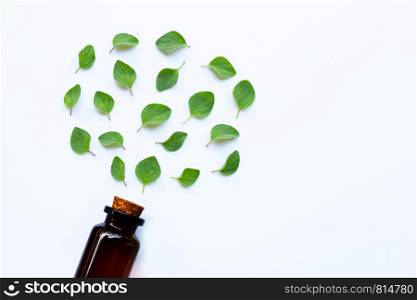 Essential oil with fresh oregano leaves on white background.