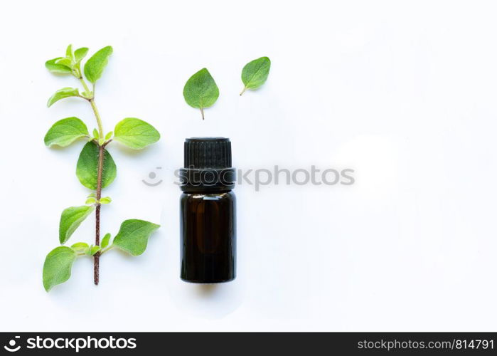 Essential oil with fresh oregano leaves on white background. Copy space