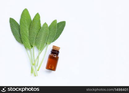 Essential oil with fresh sage leaves on white background. Top view