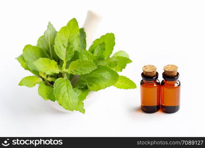 Essential oil with holy basil leaves in porcelain mortar on white background