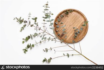 eucalyptus branch, wooden circle isolated on white background. Place for product demonstration, cosmetics. Advertising and product promotion, top view