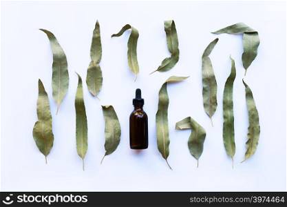 Eucalyptus essential oil bottle with dry leaves on white background.