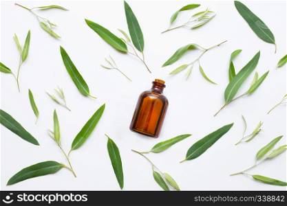 Eucalyptus essential oil bottle with  leaves on white background.