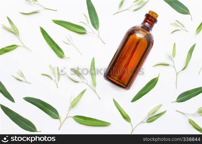 Eucalyptus essential oil bottle with leaves on white background.