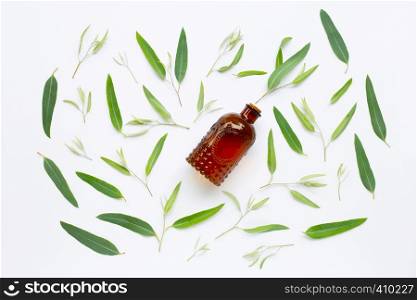 Eucalyptus essential oil bottle with leaves on white background.