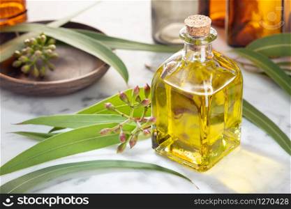 Eucalyptus essential oil. Eucalyptus oil for skin care, aromatherapy, spa, herbal medicine