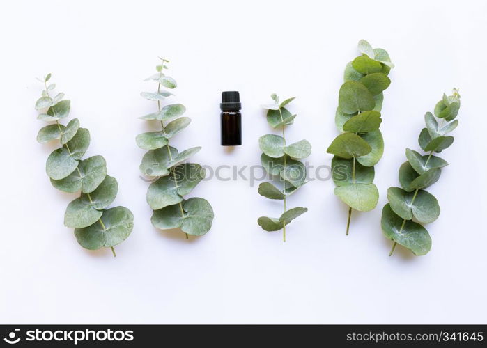 Eucalyptus essential oil on white background.