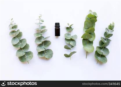 Eucalyptus essential oil on white background.