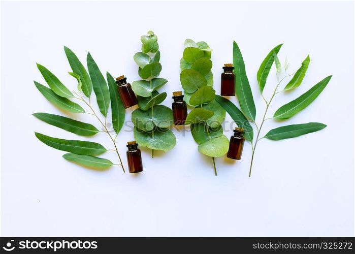 Eucalyptus essential oil with leave on white background.