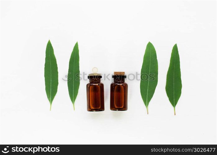 Eucalyptus oil bottle with leaves on white background.