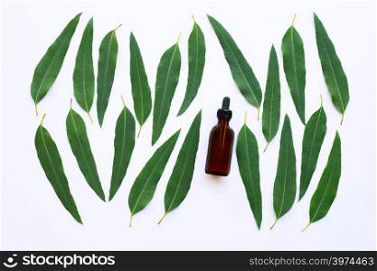 Eucalyptus oil bottles with eucalyptus leaves on white background