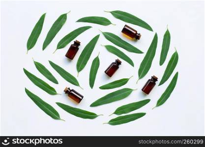 Eucalyptus oil bottles with leaves on white background.