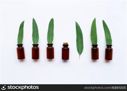 Eucalyptus oil bottles with leaves on white background. top view
