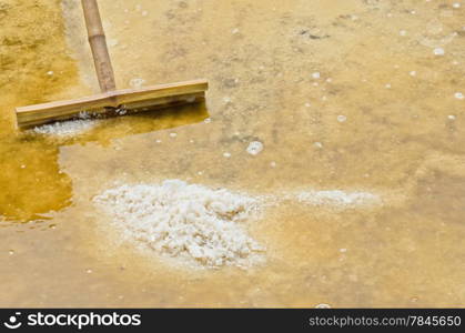 Evaporated sea salt