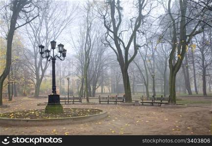 Evening dull foggy autumn city park with lamp and benches