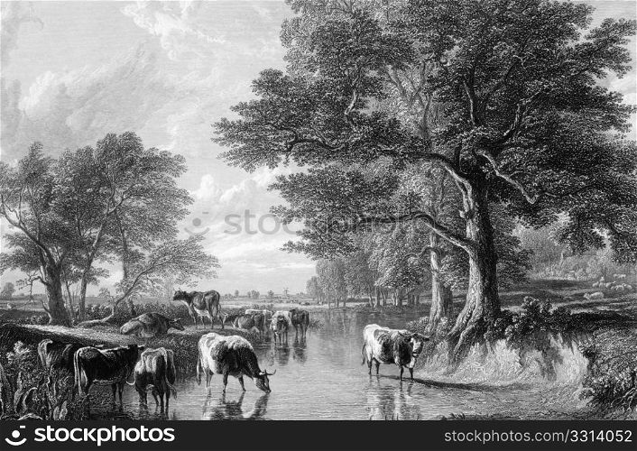 Evening in the meadows on engraving from 1883. Engraved by J.Cousen after a picture by T.S.Cooper.