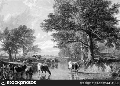 Evening in the meadows on engraving from 1883. Engraved by J.Cousen after a picture by T.S.Cooper.