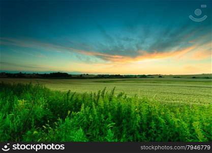 Evening landscape. Beautiful yellow sunset or sunrise over summer field meadow with dramatic red sky,