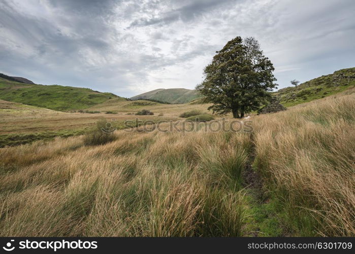 Evening landscape image of Llyn y Dywarchen lake in Snowdonia National Park