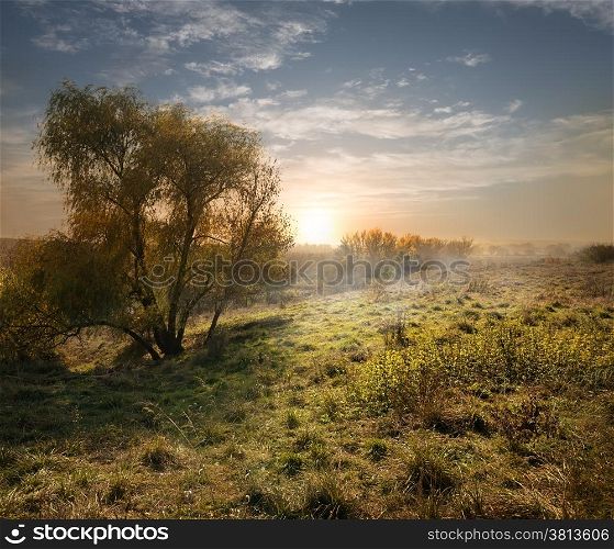 Evening landscape in late summer with sunshine
