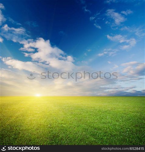 Evening meadow nature background. Evening meadow. Summer good weather nature background. Evening meadow nature background