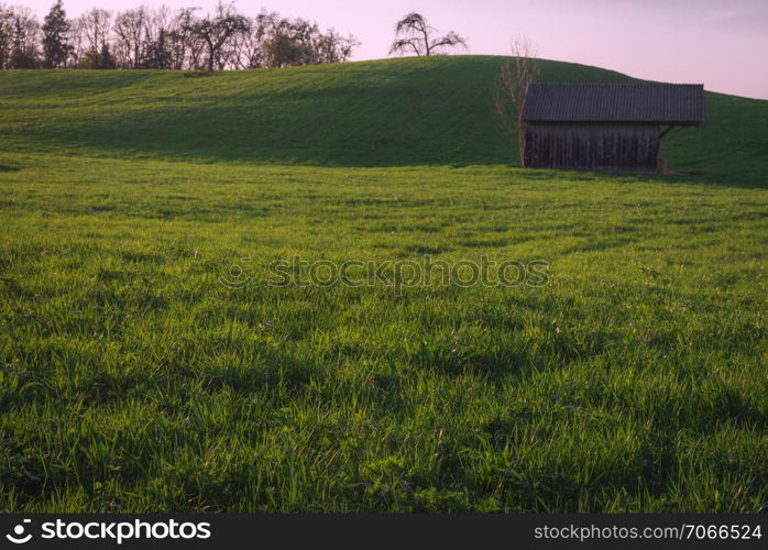 Evening scenery with the green grass meadow and a wooden cottage