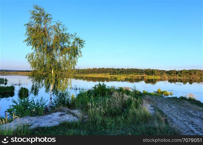Evening summer lake landscape with reflections on water surface and birch tree.