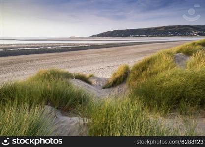 Evening Summer landscape over grassy sand dunes on beach