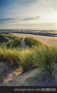 Evening Summer landscape over grassy sand dunes on beach with Instagram effect filter