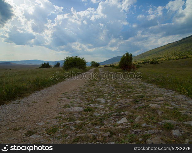 Evening summer landscape with green grass, road and clouds