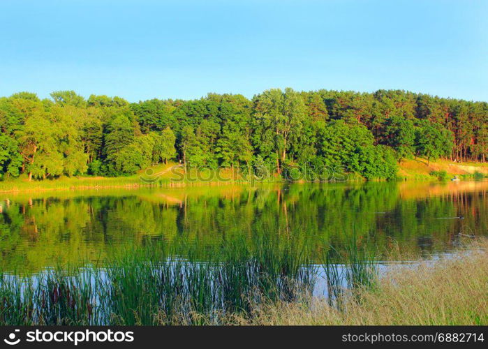 evening summer landscape with river and forest. beautiful evening summer landscape with river and forest