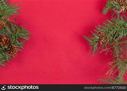 Evergreen branches as side borders on red background. Christmas concept.