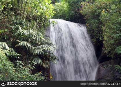 Evergreen forest and small waterfall in Sri Lanka