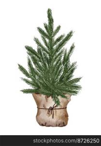 Evergreen pine tree in rustic pot with christmas lights,pine cone, firry. Watercolor illustration. Farmhouse Christmas tree isolated on the white background.. Evergreen pine tree in rustic pot with christmas lights,pine cone, firry. Watercolor illustration. Farmhouse Christmas tree isolated on the white background