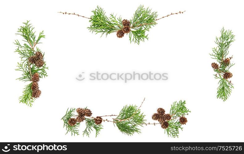 Evergreen tree branches with cones. Christmas background. Floral flat lay banner