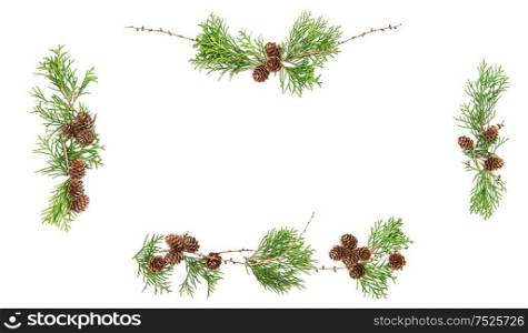 Evergreen tree branches with cones. Christmas background. Floral flat lay banner