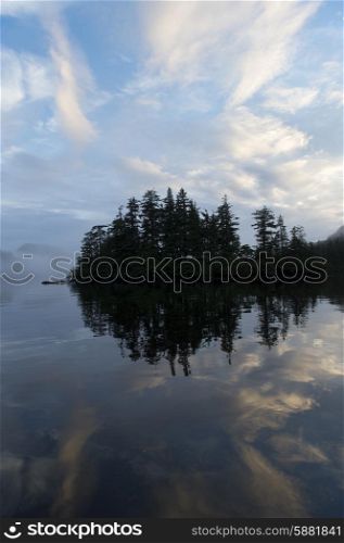 Evergreen Trees at coast, Skeena-Queen Charlotte Regional District, Haida Gwaii, Graham Island, British Columbia, Canada